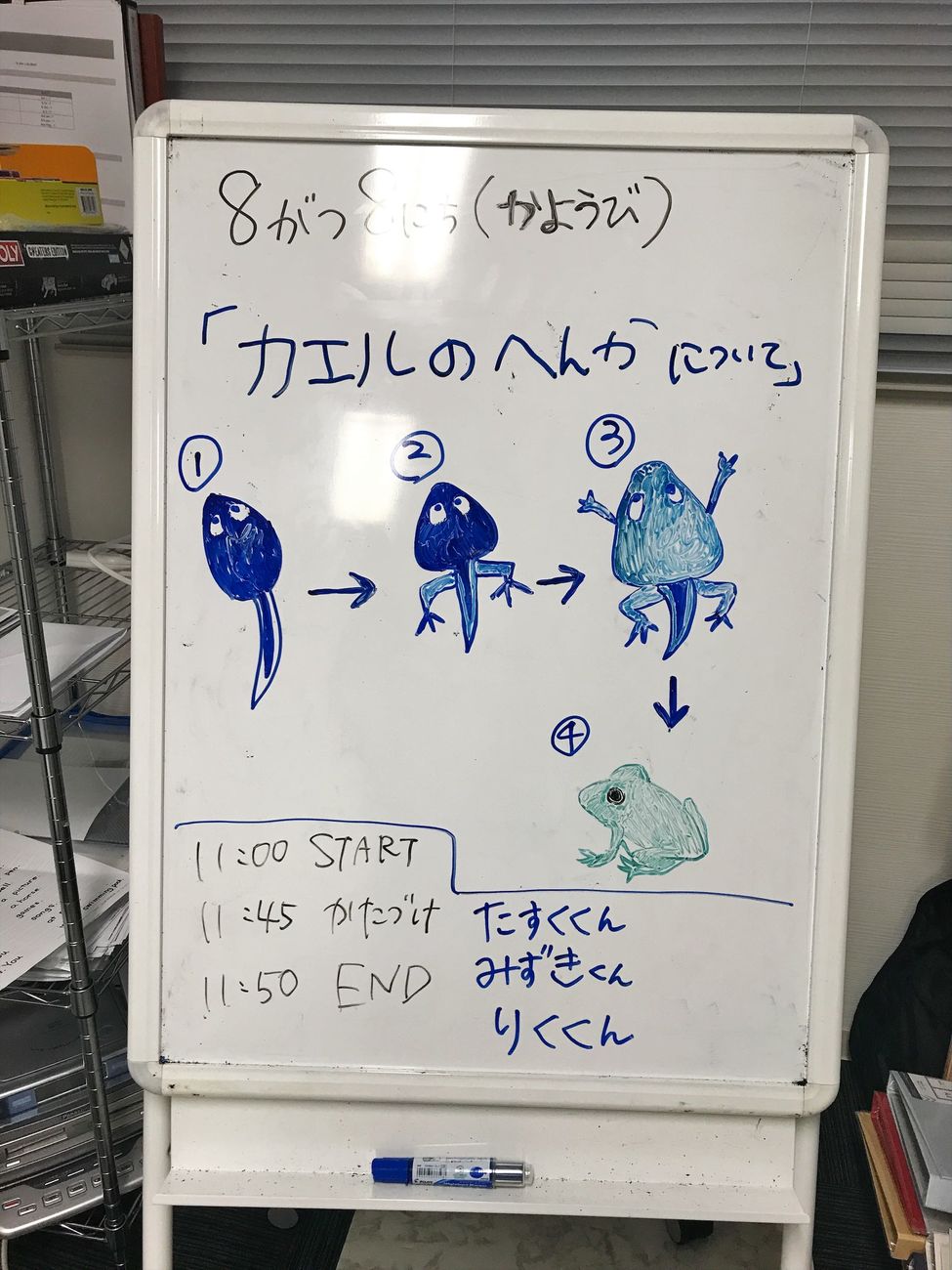 Frog1.jpg